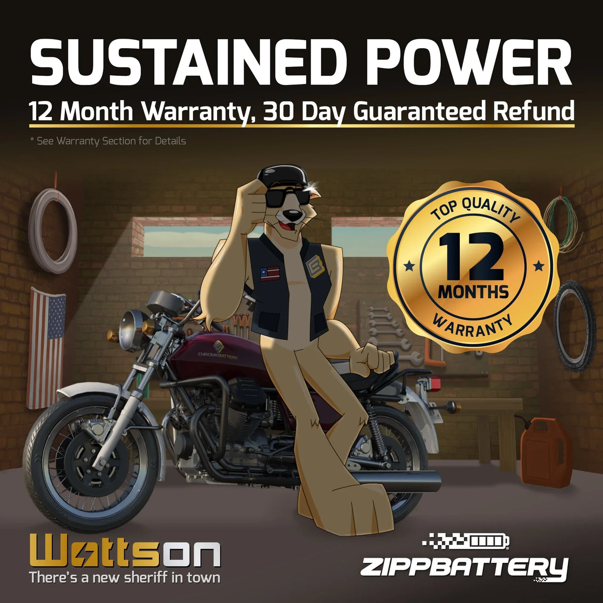 Zipp Battery YT14B-BS (14B-BS 12 Volt,12 Ah, 135 CCA) Motorcycle Battery for Hyosungmotors 650cc Gv650 Se 2009